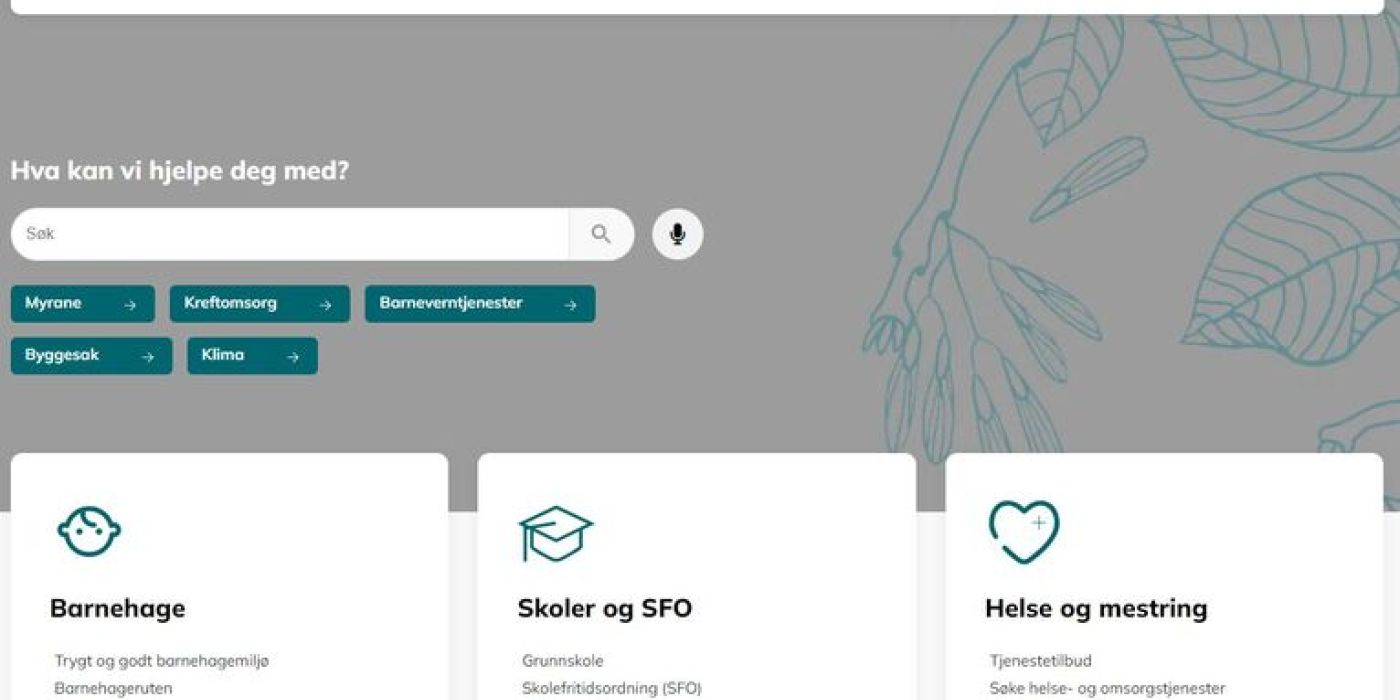 Skjermbilde av en nettside
